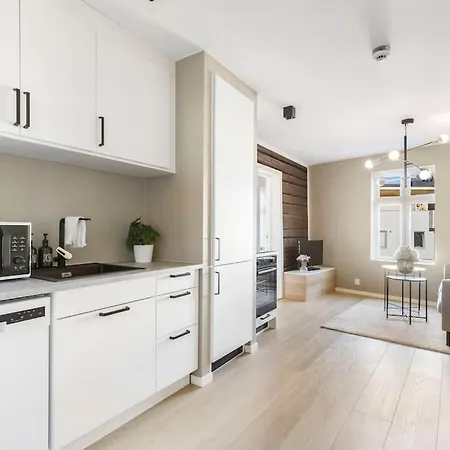 アパート Romslig Og Moderne I *