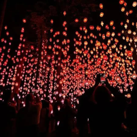 Romslig Og Moderne I アパート オスロ