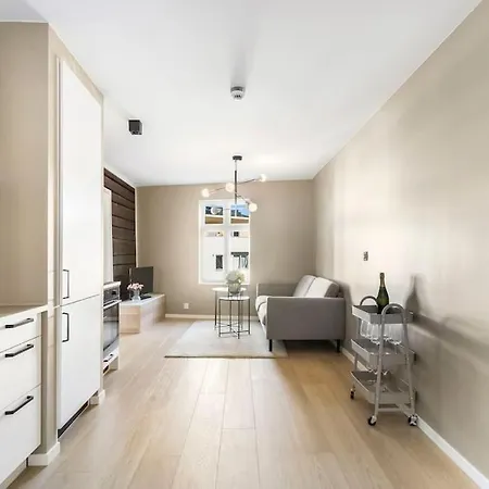 Romslig Og Moderne I